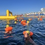 2023 Garmin BSJ (Malta) – Gozo – Malta  Open Water Swimming Competition update